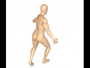 human skeleton and body rigged Model 3D