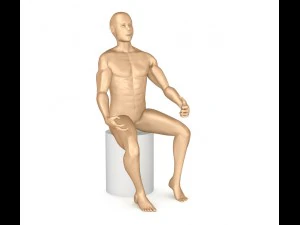 human skeleton and body rigged 3D Model