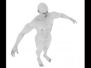 human skeleton and body rigged Model 3D