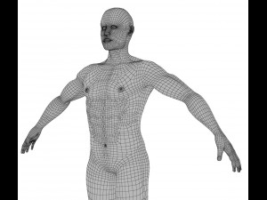 human spine with spinal cord and body 3D Model