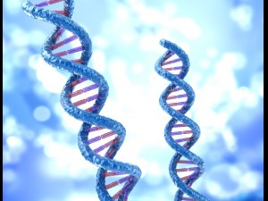 dna strand molecule concept human anatomy Modèle 3D