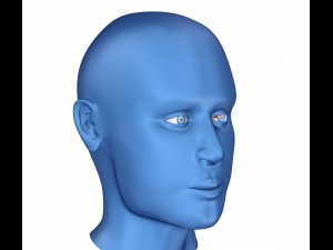 eye anatomy - inner structure Modèle 3D