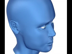 eye anatomy - inner structure 3D Model