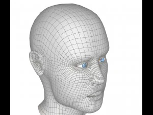 eye anatomy - inner structure 3D Model