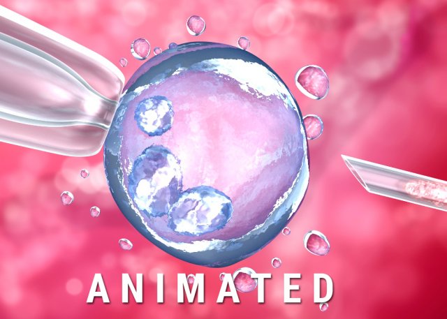 artificial insemination glass needle fertilizing a female egg Model 3D .c4d .max .obj .3ds .fbx .stl .blend 
