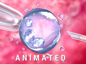 artificial insemination glass needle fertilizing a female egg 3D Model