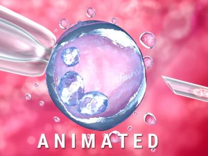 女性の卵子を受精させる人工授精ガラス針 3Dモデル