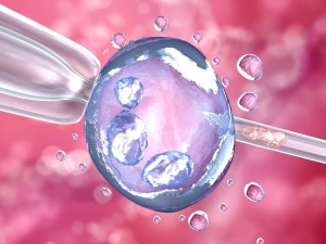 artificial insemination glass needle fertilizing a female egg Model 3D
