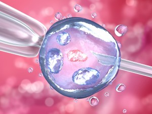 artificial insemination glass needle fertilizing a female egg Model 3D