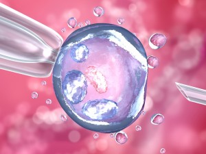 artificial insemination glass needle fertilizing a female egg Model 3D