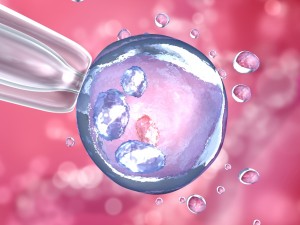 artificial insemination glass needle fertilizing a female egg Model 3D