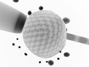 artificial insemination glass needle fertilizing a female egg Model 3D
