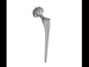 hip replacement implant installed in the pelvis bone 3D Model
