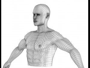 xray brain anatomy with inner structure 3D Model