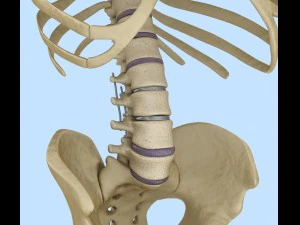 spinal fixation system - titanium bracket 3D Model