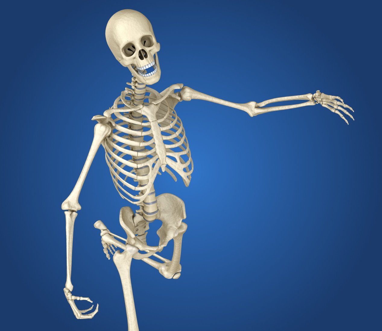Прямо на скелет. Скелет человека. Полный скелет человека. Скелет человека и человек.