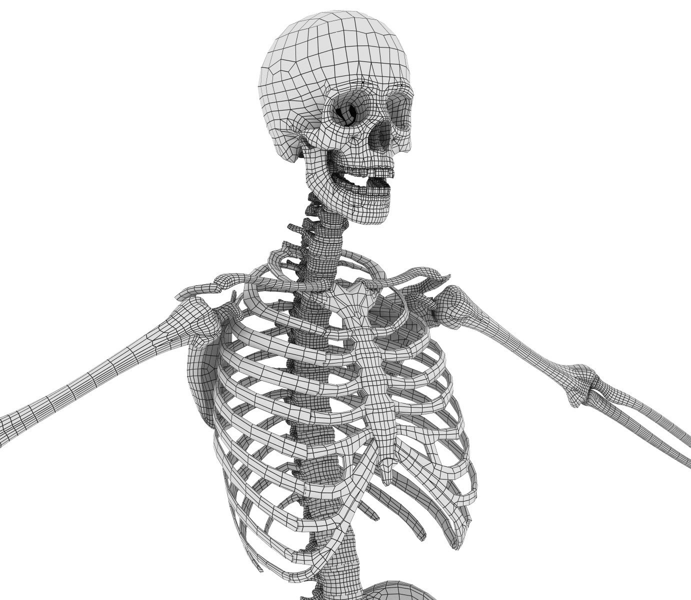 Ткань скелета человека. Скелет человека. Скелет 3d. Скелет человека 3d. Скелет три д модель.