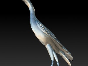 bird stork Modelo 3D