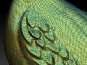 cigogne oiseau Modèle 3D