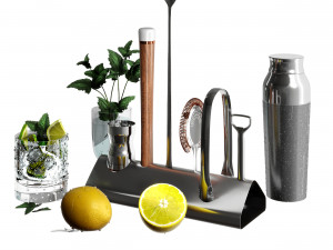Williams Sonoma Signature Bar Tool Set with Stand Cocktail Shaker 3D Модель