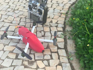 wilder chaser 3d printed drone 3D Print Model