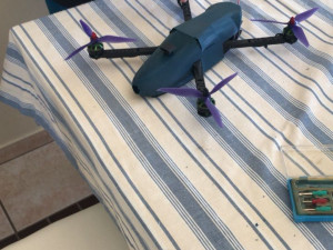 wilder chaser 3d printed drone Model do druku 3D