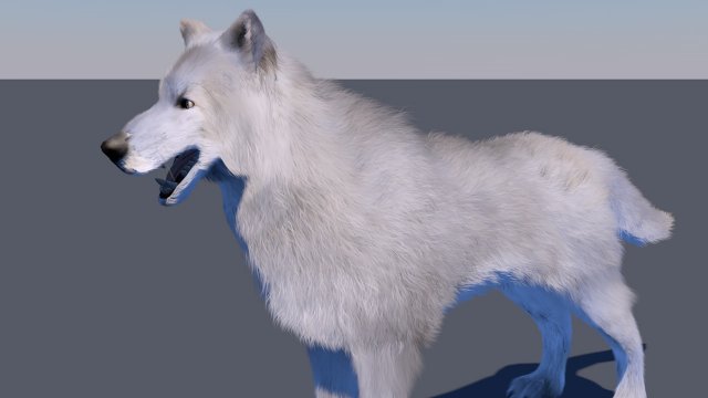 white wolf fur rigged 3D Model .c4d .max .obj .3ds .fbx .stl .blend 