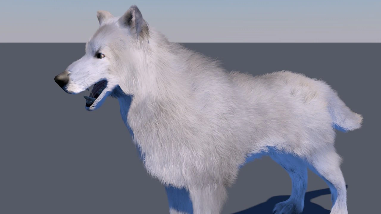 white wolf fur rigged 3D Model .c4d .max .obj .3ds .fbx .stl .blend