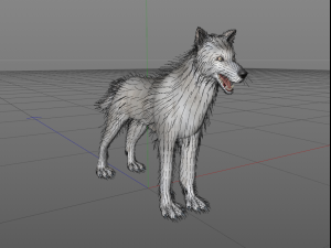 white wolf fur rigged 3D Model