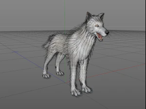 white wolf fur rigged 3D Model