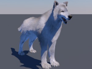 white wolf fur rigged 3D Model