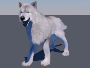 white wolf fur rigged 3D Model