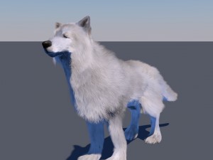 white wolf fur rigged 3D Model