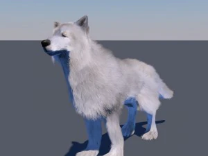 white wolf fur rigged 3D Model