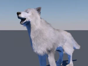 white wolf fur rigged 3D Model