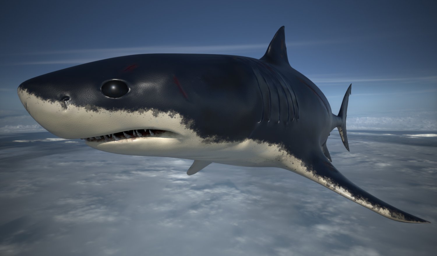 3D model Great White Shark - Game Ready VR / AR / low-poly rigged animated