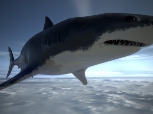 skark with u5 demo scene and ue4 textures-animated game-ready 3D-Modell