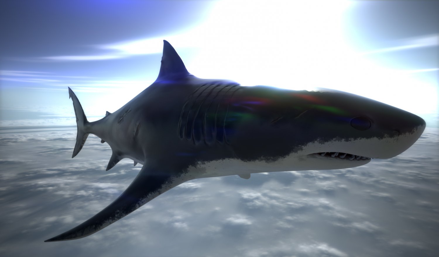 3D model Great White Shark - Game Ready VR / AR / low-poly rigged animated