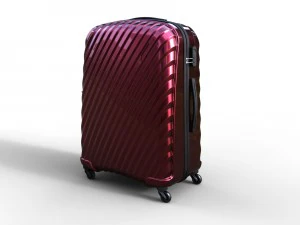 trolley suitcase bag 03 3D Model