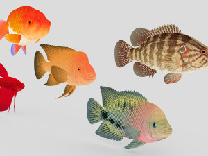 fish collection 01 ar-vr Model 3D