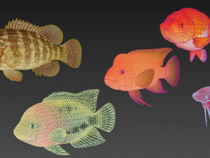 fish collection 01 ar-vr Model 3D