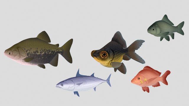 fish collection 02 ar-vr 3D Model .c4d .max .obj .3ds .fbx .stl .blend 