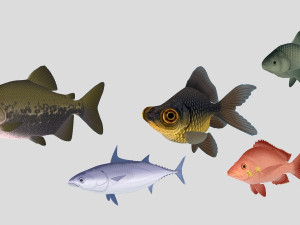 fish collection 02 ar-vr 3D Model