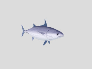 fish collection 02 ar-vr 3D Model