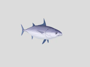 fish collection 02 ar-vr 3D Model