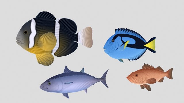 fish collection 04 ar-vr 3D Model .c4d .max .obj .3ds .fbx .stl .blend 