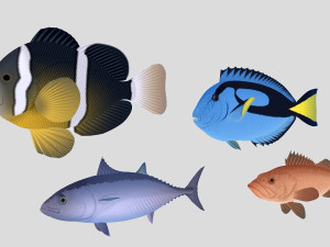 fish collection 04 ar-vr 3D Модель