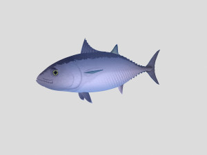 fish collection 04 ar-vr 3D Model