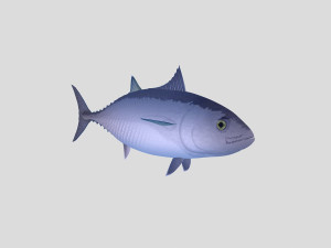 fish collection 04 ar-vr 3D Model