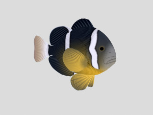 fish collection 04 ar-vr 3D Model